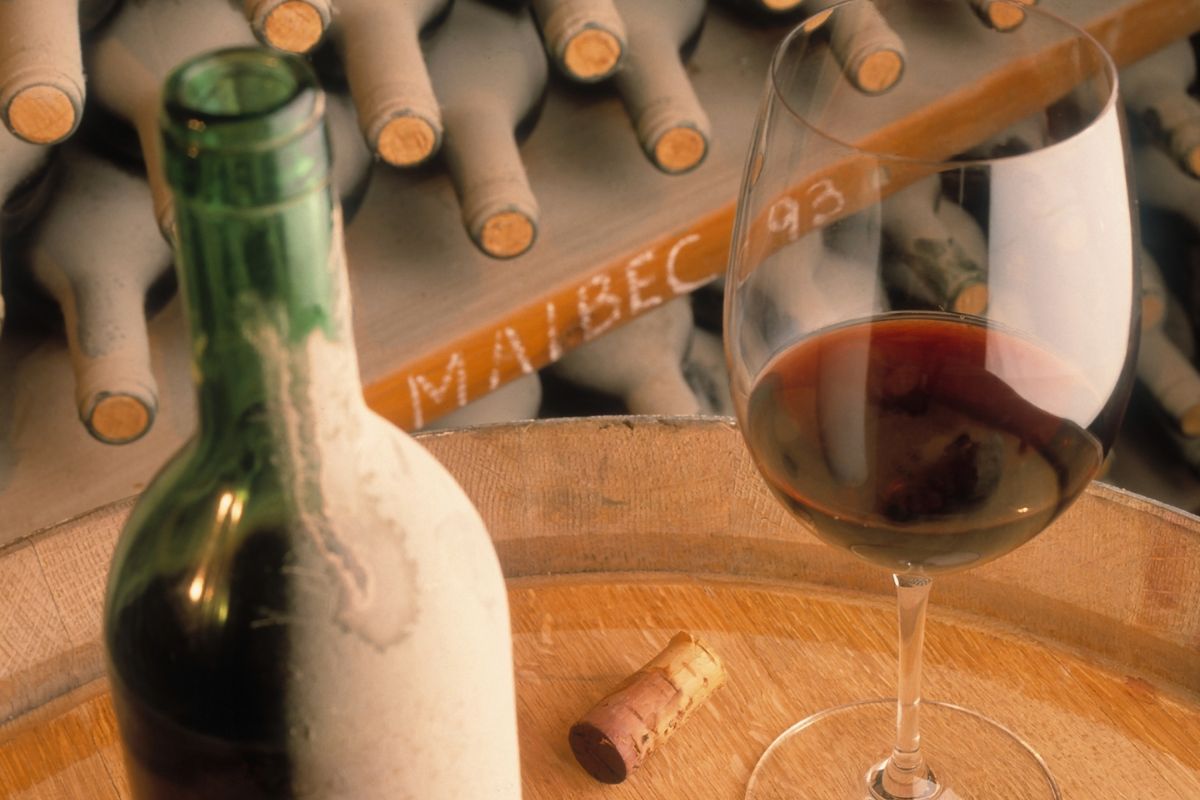 A Total Guide To Malbec Wine