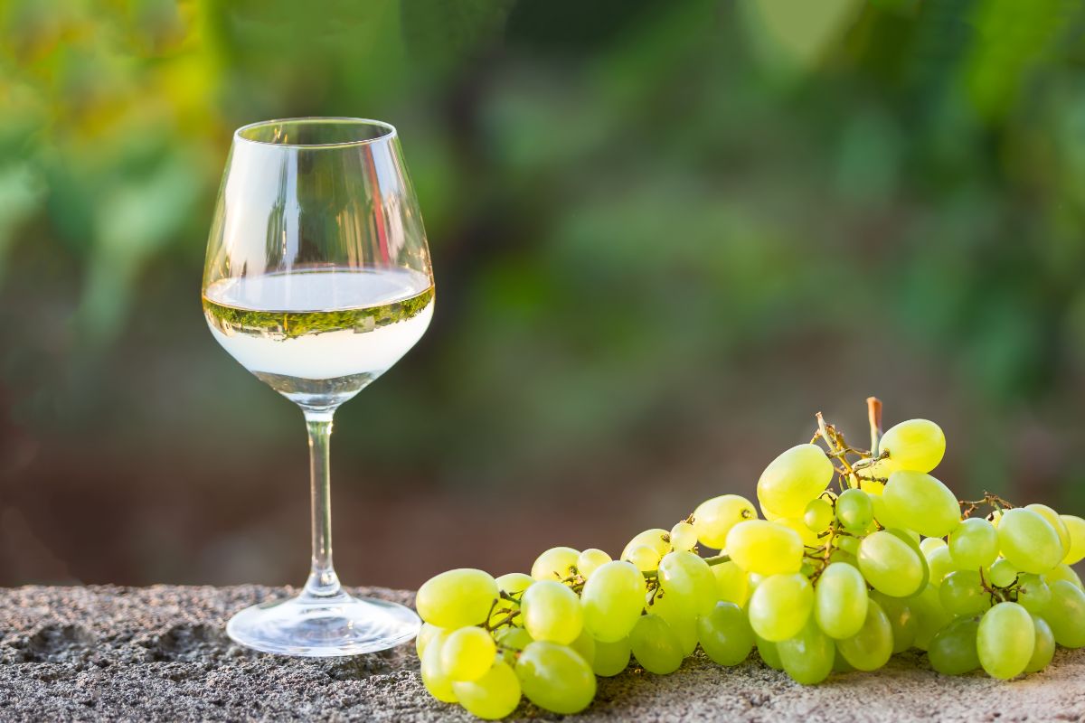 Can Chardonnay Be Red? Everything You Need To Know!