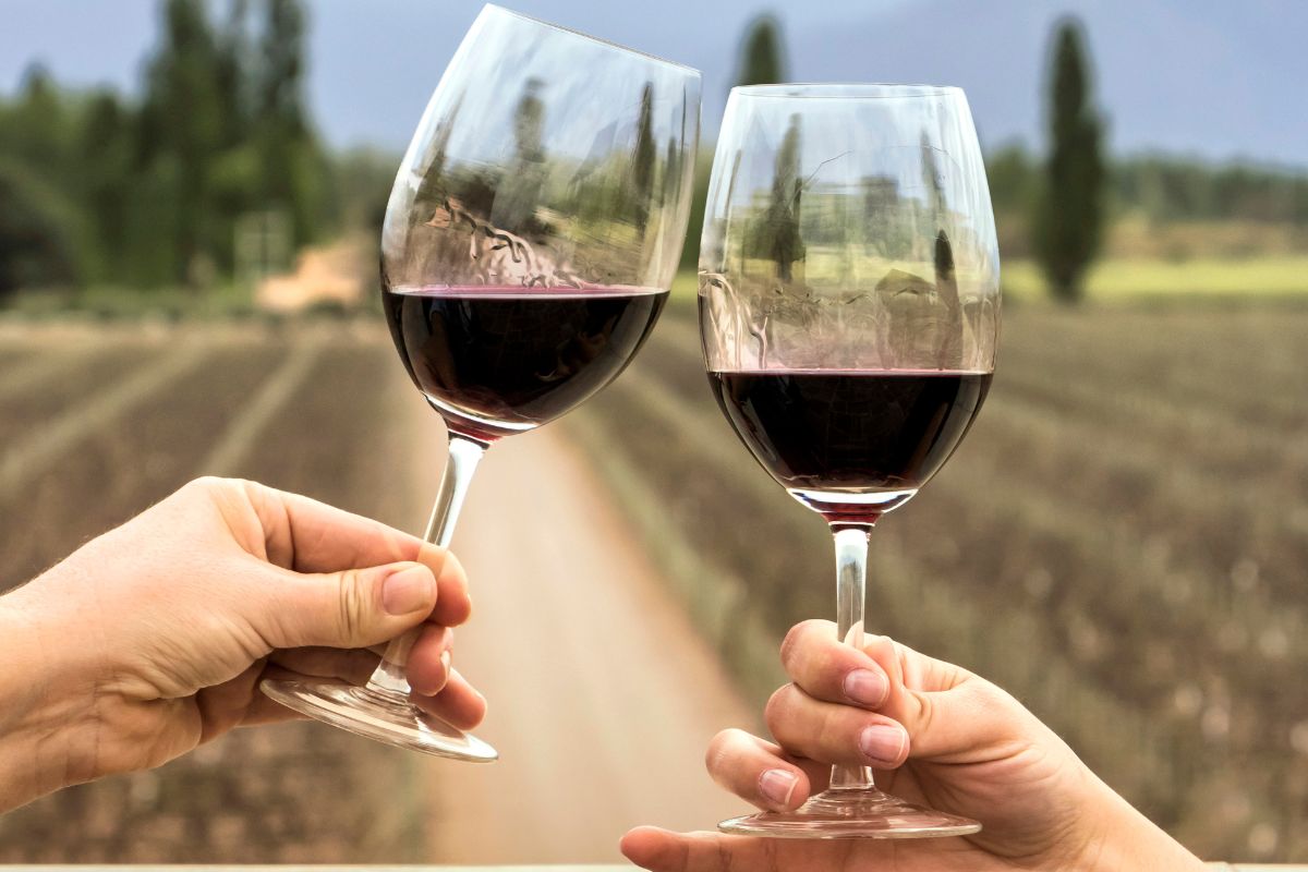 Malbec Vs Cabernet Sauvignon