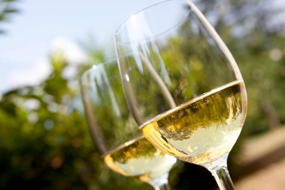 The Ultimate Guide To Pinot Grigio (1)