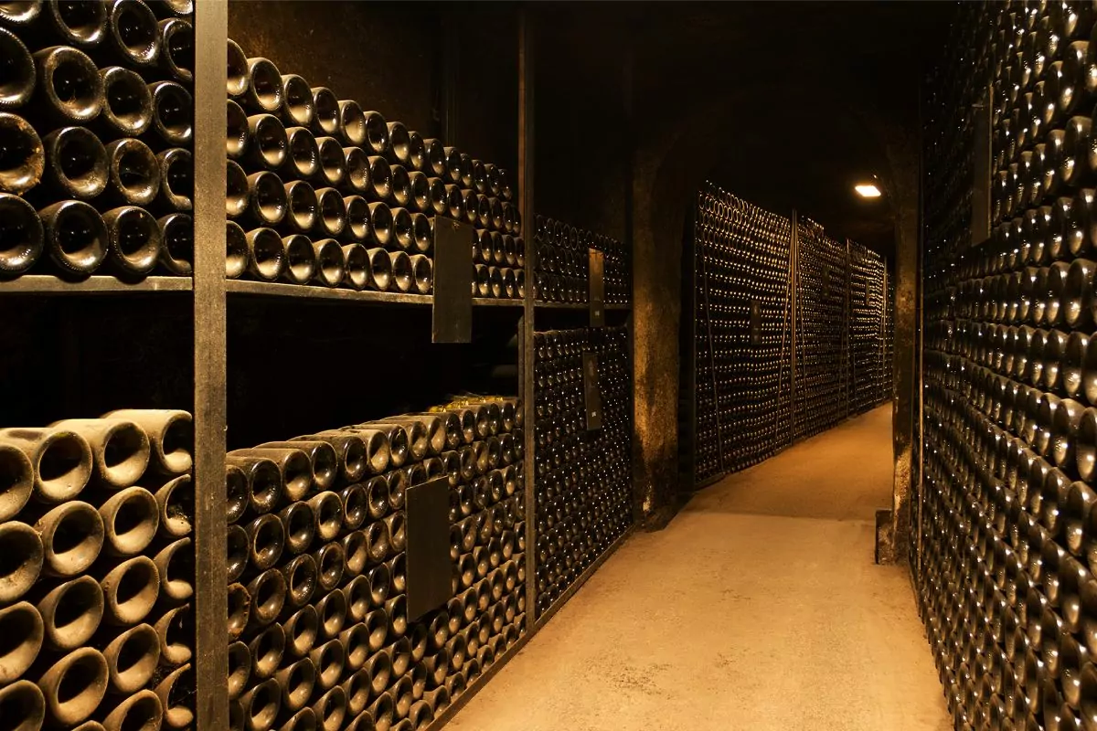 Wine Fridge Vs Wine Cellar